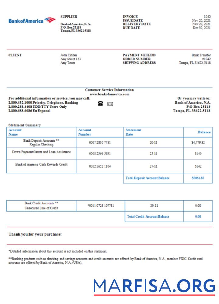 Realistic USA Bank of America invoice template